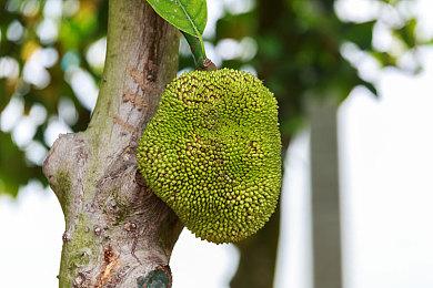 剧透警告 数段《暗黑破坏神4》过场泄露